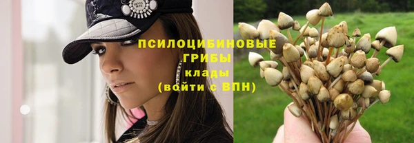 твердый Нефтегорск